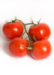 Red tomatoes on a branch isolated on white background