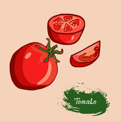 fresh tomatoes, drawn in a vector