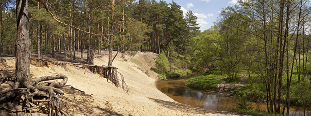 Panorama of forest river in the early spring.