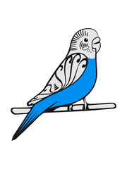 wellensittich pattern