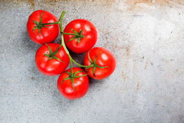 Tomaten frisch von der Ernte 