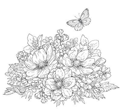 Anemone flowers and butterfly sketch