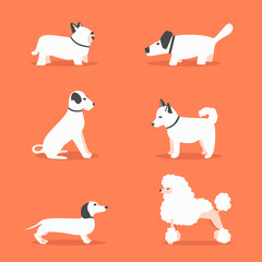 Set of dogs. Cartoon vector illustration. Vet clinic