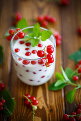 sweet homemade yogurt with red currants