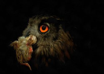 Owl with prey