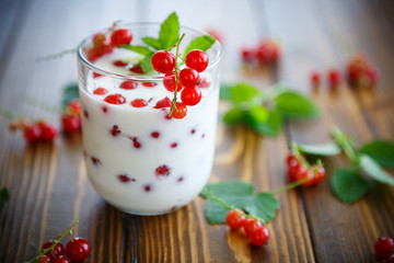 sweet homemade yogurt with red currants