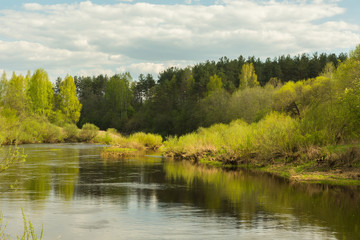 Fototapeta na wymiar Bright Spring river landscape. May River Cherioha. Pskov region, Russia