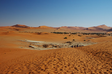 Fototapeta na wymiar Red dunes of Namib
