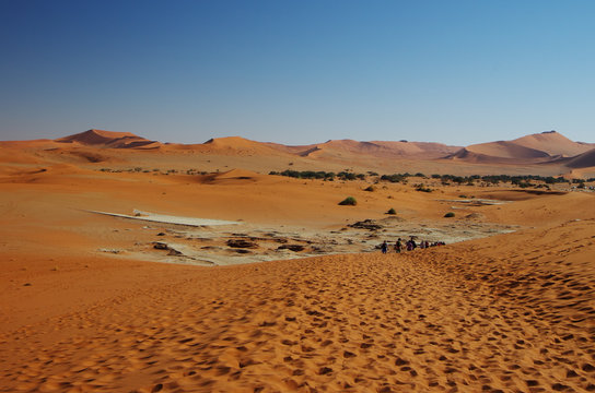Red dunes of Namib
