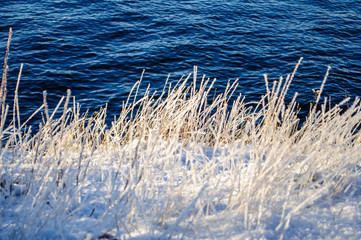 Frozen grass in the golden rays of a winter sunset