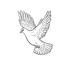 Flying  Dove