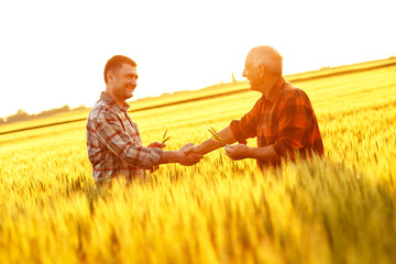 Two farmer standing in a wheat field and shake hands on sunset. © Zoran Zeremski