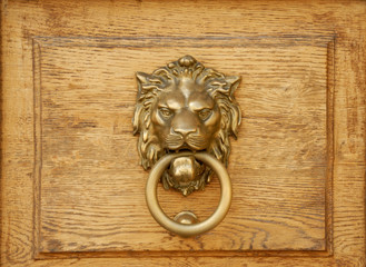 Lion knocker