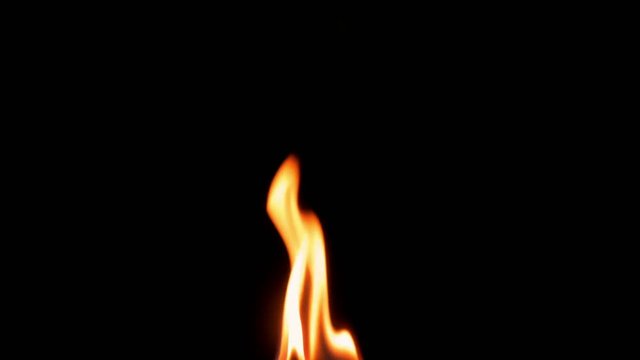 BODY VIDEO FLAME 【公式通販】