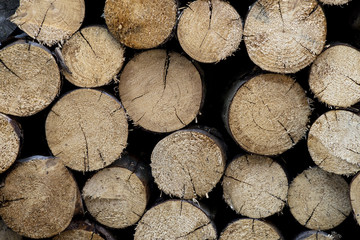 Cut up wood on pile texture
