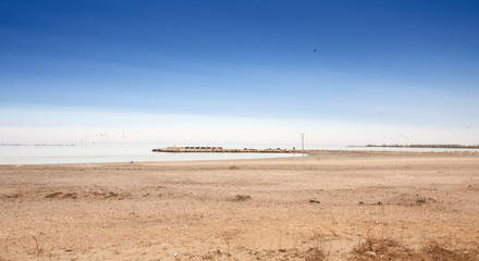 Black Sea shore