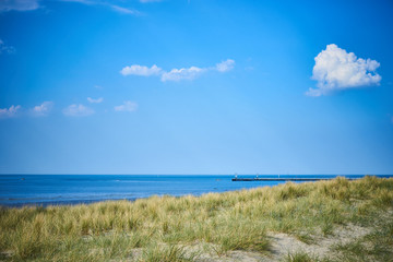 Sandy dunes with grass / Beach of Belgium near Nieuwpoort