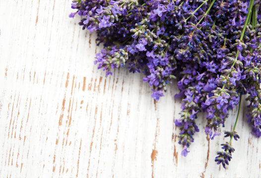 Fototapeta lavender flowers