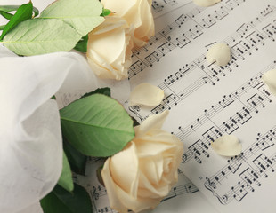 Beautiful rose on music sheets background