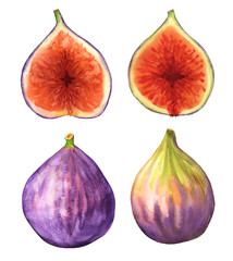 background with figs