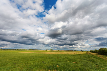 Cloudy sky over meadow