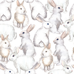 fond de lapins blancs