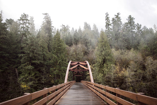 View of wooden footbridge against trees in forest