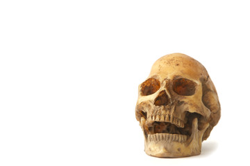 Stock Photo:.Human skull on isolated white background