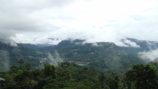 View to the tropical forest and sky with fog and clouds in Nuwara Eliya, Sri Lanka.