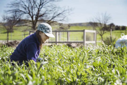 Smiling woman working in field
