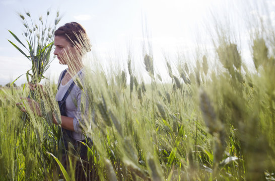 Young woman holding a bundle of wheat in field