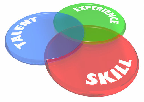 Experience Talent Skill Venn Diagram Circles 3d Illustration