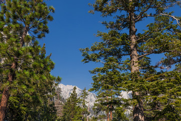 Fototapeta premium Whitney Portal area-Meysan Lakes Trail- Inyo National Forest,- CA- This very steep trail leads to an alpine lake.