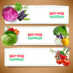 Vegetables banners and vegetables background 