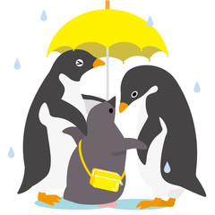 アデリーペンギン 雨の日家族