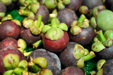 Queen of Fruit,  Delicious mangosteen fruit