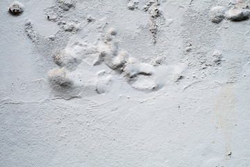 The old cracked cement