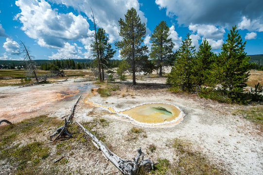 Natural hot spring, Yellowstone, Wyoming