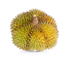 yellow durian in side Mon Thong durian fruit on white background