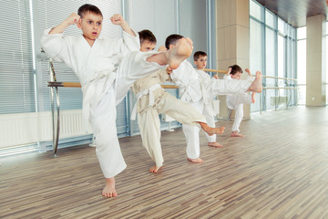 young, beautiful, successful multi ethical kids in karate position