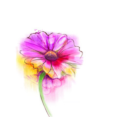 Fototapeta premium Abstract watercolor painting red gerbera, daisy flower on white paper background. Hand painted red floral water color. Sketch flower paint in pastel colors. Painted watercolour flower sketch 