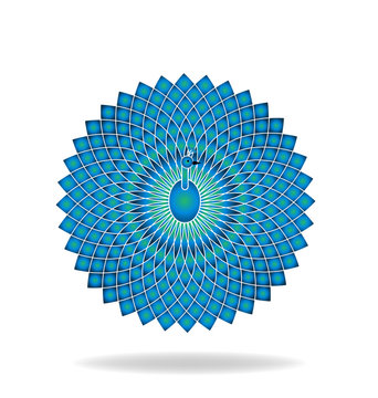 Blue abstract peacock vector logo 
