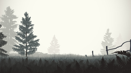 morning mist illustration - 113501119