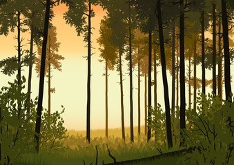 forest landscape illustration - 113501136