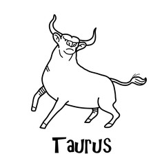Taurus Zodiac, a hand drawn vector cartoon doodle illustration of Taurus zodiac, The Bull.