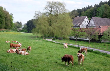 ländliche Idylle im Siebenmühlental bei Stuttgart