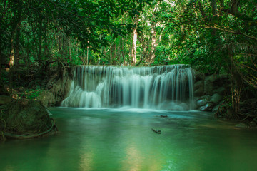 Fototapeta na wymiar waterfall in forest