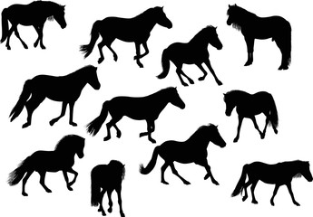 eleven black horses on white