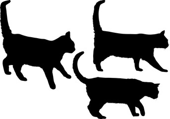 three isolated cat black silhouettes set