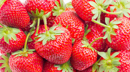 Garden strawberry fruit closeup